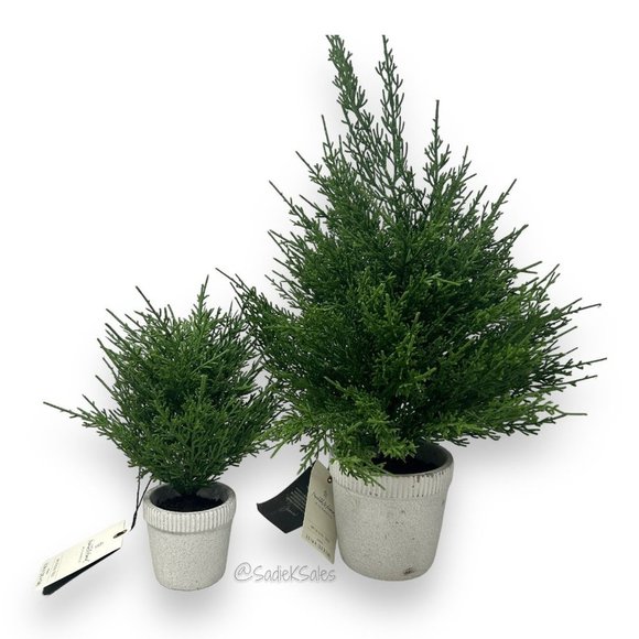 Hearth & Hand Magnolia 12" Faux Cypress Christmas Tree in Cement Pot - Picture 4 of 6